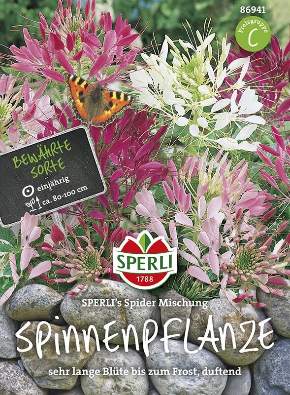  Spinnenpflanze SPERLING`s Spider Mischung