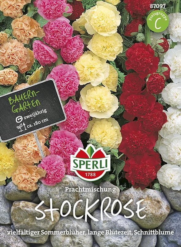  Stockrose Prachtmischung