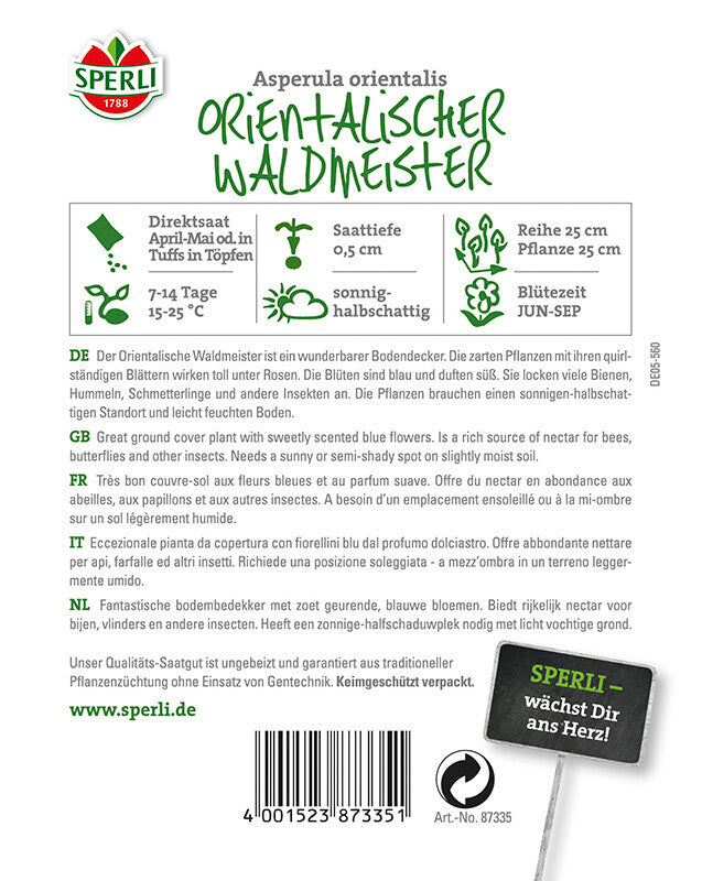 Waldmeister Orientalischer