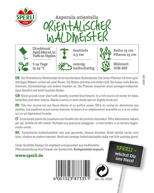  Waldmeister Orientalischer
