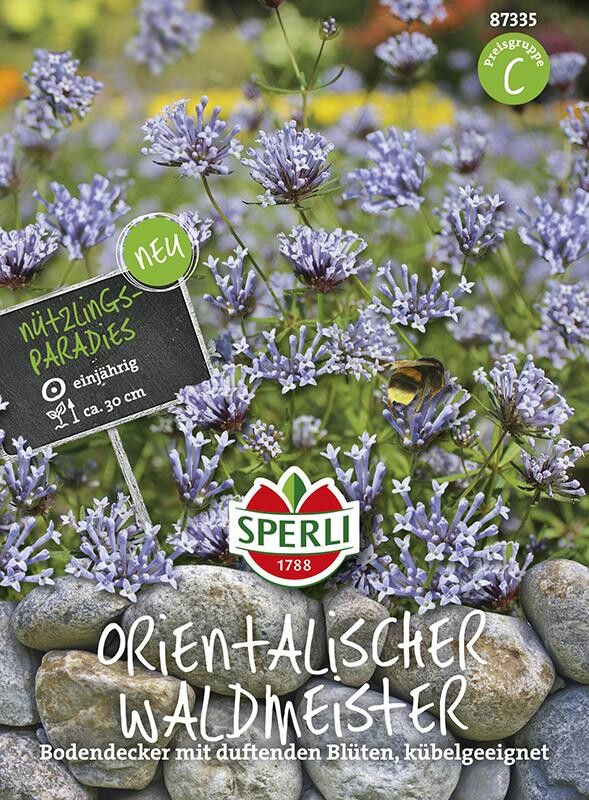  Waldmeister Orientalischer