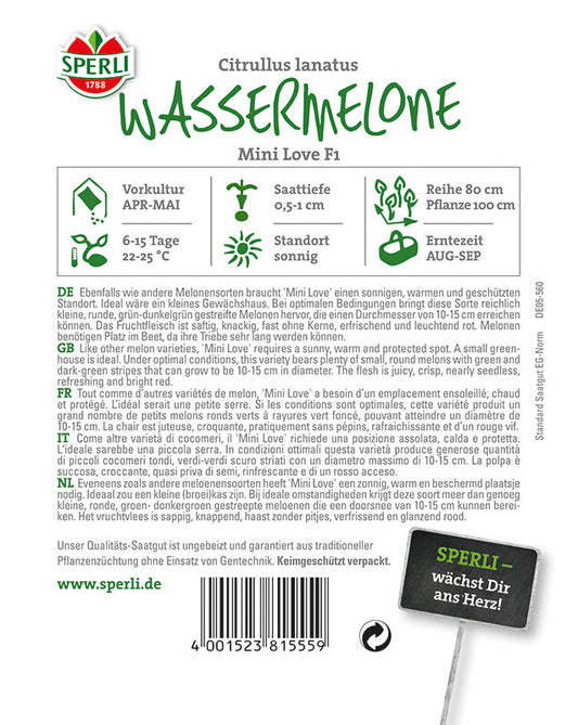  Wassermelone Mini Love, Bringt Viele Kleine Runde Grün-dunkelgrüne Melonen