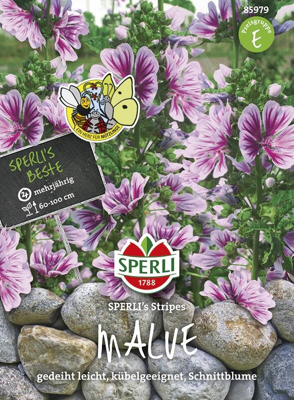  Malven SPERLING´s Stripes (Wilde Malven), Schöne Und Seltene Art, Mit Rosa-violett-weiß Gestreiften Blüten