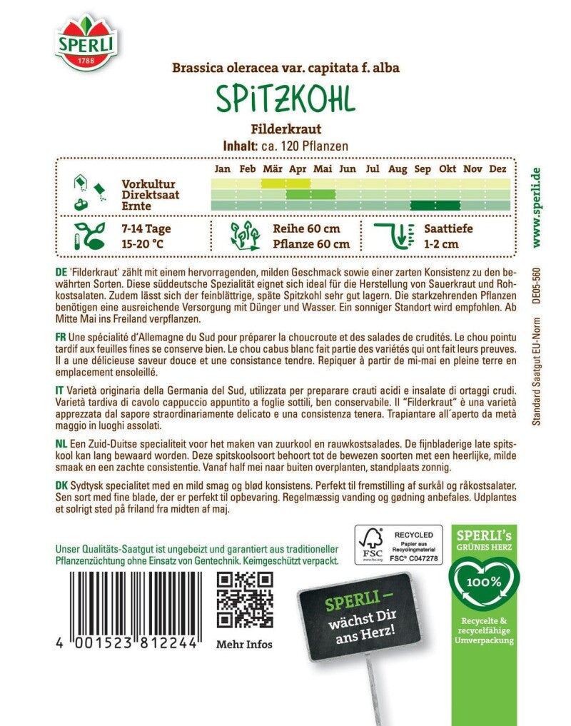  Spitzkohl / Weißkohl Filderkraut, Bewährte Sorte, Lagerfähig, Saatgut Von Sperli