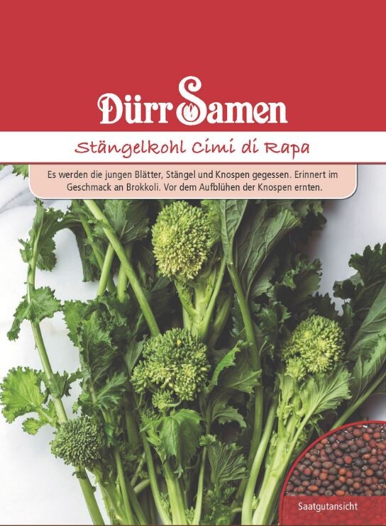  Stängelkohl Cimi Di Rapa, Blattgemüse, Jungen Blätter Stängel Und Knospen Zum Verzehr Geeignet