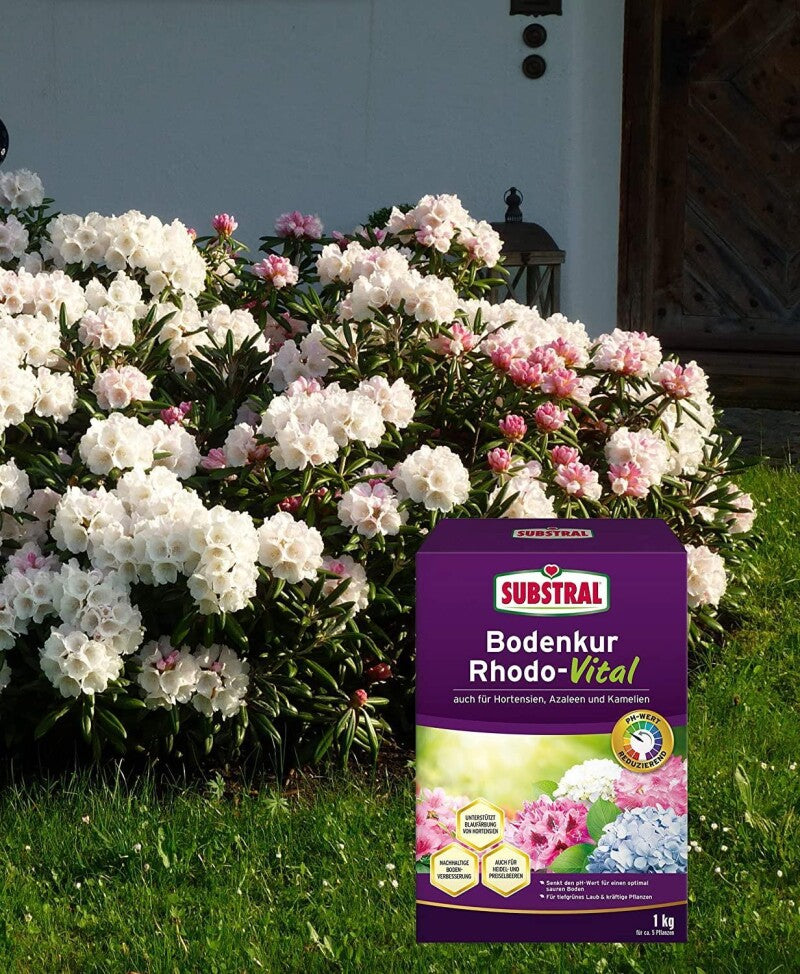  Substral Bodenkur Rhodo-Vital, 1 Kg Für Ca. 5 Pflanzen