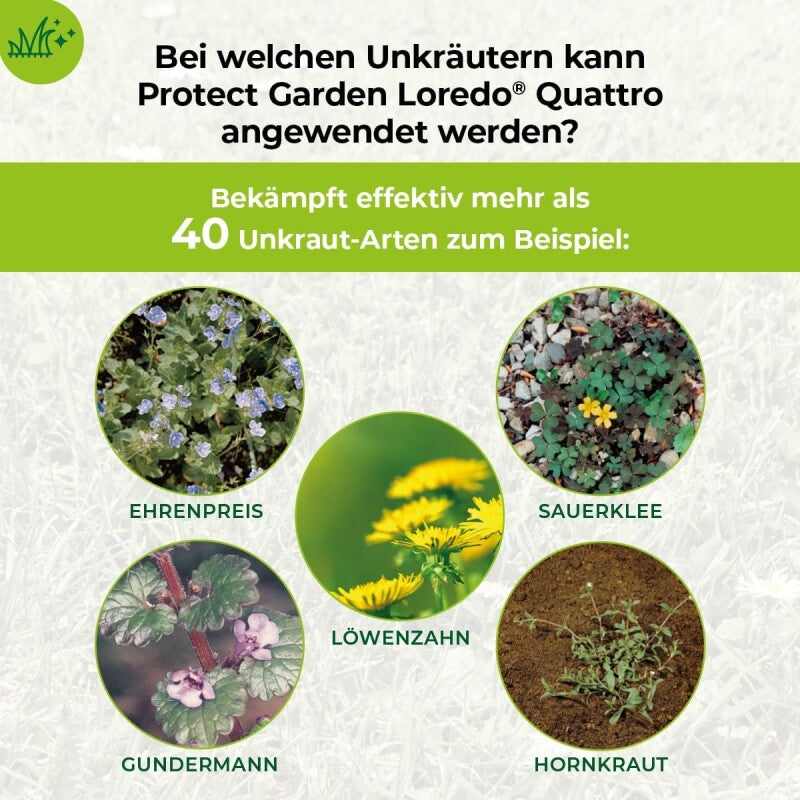  PROTECT GARDEN Universal-Rasenunkrautfrei Loredo Quattro 400 Ml, Rasen Unkrautvernichter Gegen Hartnäckige Unkräuter Mit 4-fach Wirkung