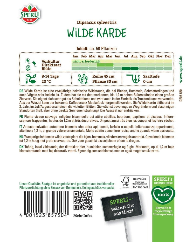  Wilde Karde Zweijährig Nützlingsmagnet Schnell Keimend