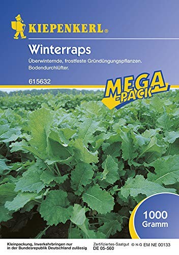  Winterraps Gründünger 1kg
